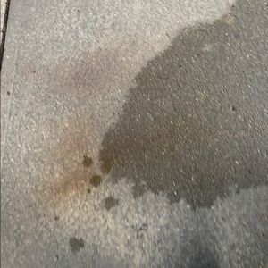 Meet your Posher, Travis